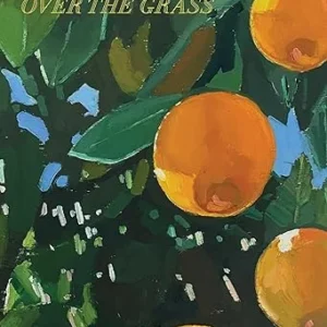 Violet Bent Backwards Over the Grass ( Lana Del Rey )