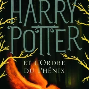 Harry entre en 5e année à Poudlard, mais il n'a jamais été si anxieux. L'adolescence, la perspective des examens et ces étranges cauchemars... Car le Seigneur des Ténèbres est de retour. Le ministère de la Magie semble ne pas prendre cette menace au sérieux, contrairement à Dumbledore. La résistance s'organise alors autour de Harry qui va devoir compter sur le courage et la fidélité de ses amis de toujours...