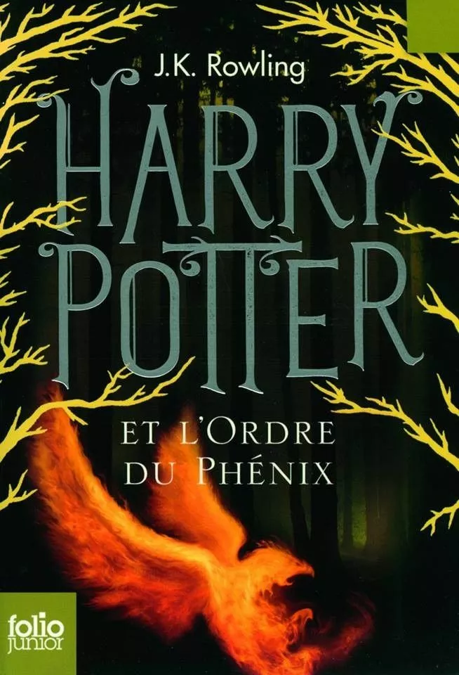 Harry entre en 5e année à Poudlard, mais il n'a jamais été si anxieux. L'adolescence, la perspective des examens et ces étranges cauchemars... Car le Seigneur des Ténèbres est de retour. Le ministère de la Magie semble ne pas prendre cette menace au sérieux, contrairement à Dumbledore. La résistance s'organise alors autour de Harry qui va devoir compter sur le courage et la fidélité de ses amis de toujours...