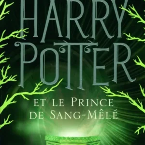 Dans un monde de plus en plus inquiétant, Harry se prépare à retrouver Ron et Hermione. Bientôt, ce sera la rentrée à Poudlard, avec les autres étudiants de sixième année. Mais pourquoi Dumbledore vient-il en personne chercher Harry chez les Dursley ? Dans quels extraordinaires voyages au cœur de la mémoire va-t-il l'entraîner ?