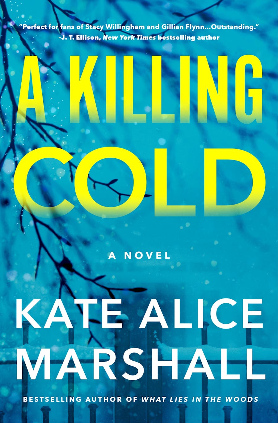 A woman invited to her wealthy fiance’s family retreat realizes they are hiding a terrible secret—and that she’s been there before, by the bestselling author of What Lies in the Woods.