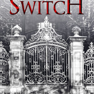 Kill Switch (Devil's Night #3)